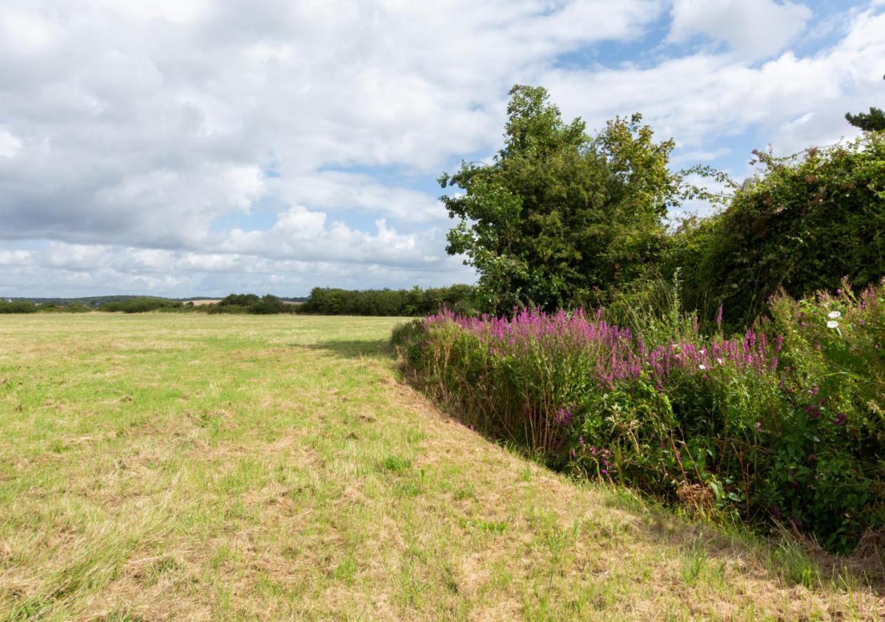 Swallows Return Villa Bilsington Exterior photo